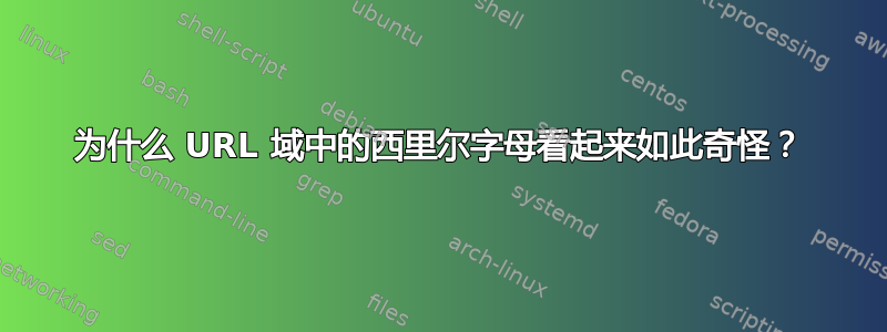 为什么 URL 域中的西里尔字母看起来如此奇怪？