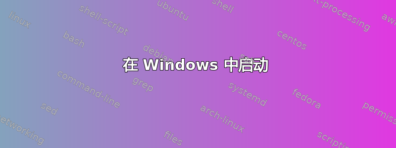 在 Windows 中启动