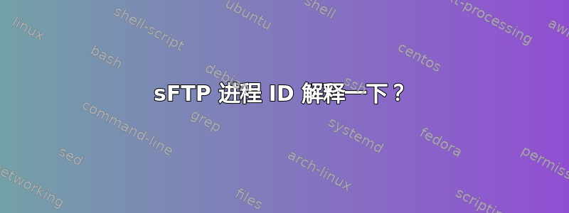 sFTP 进程 ID 解释一下？