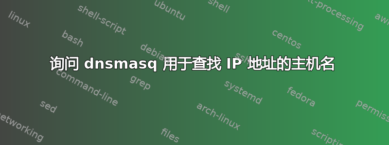 询问 dnsmasq 用于查找 IP 地址的主机名