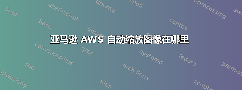 亚马逊 AWS 自动缩放图像在哪里