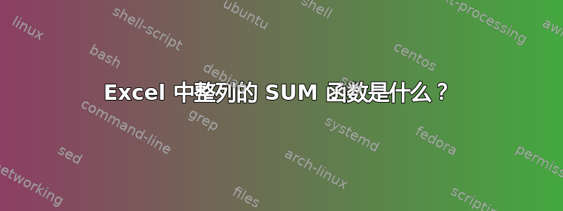 Excel 中整列的 SUM 函数是什么？