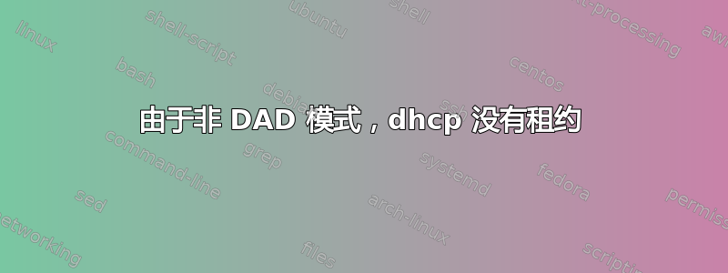 由于非 DAD 模式，dhcp 没有租约