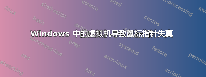 Windows 中的虚拟机导致鼠标指针失真