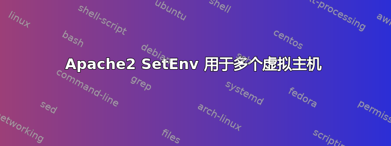 Apache2 SetEnv 用于多个虚拟主机