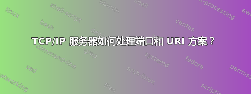 TCP/IP 服务器如何处理端口和 URI 方案？