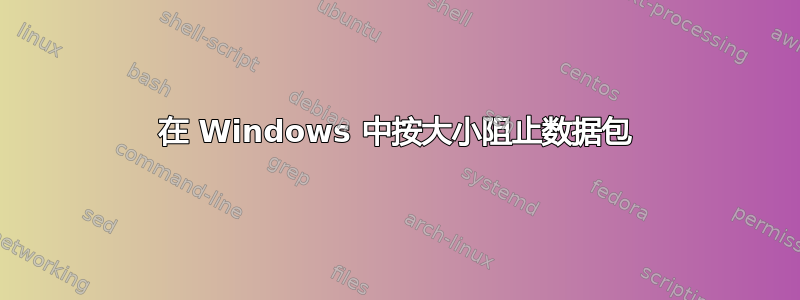 在 Windows 中按大小阻止数据包