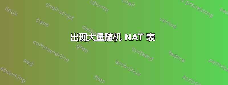 出现大量随机 NAT 表