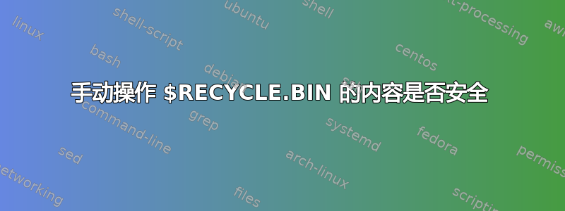 手动操作 $RECYCLE.BIN 的内容是否安全