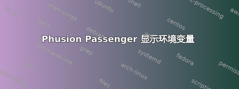 Phusion Passenger 显示环境变量