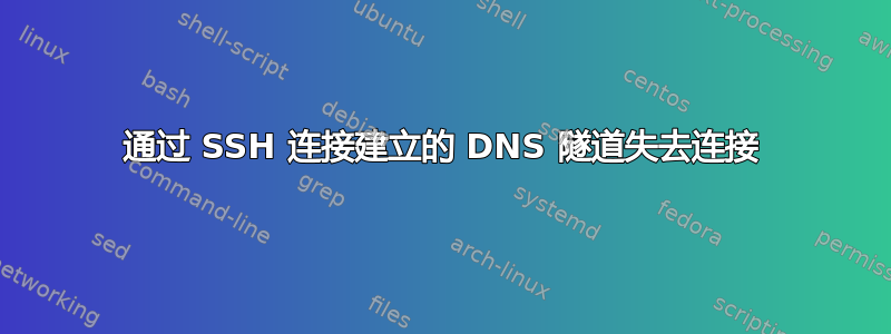 通过 SSH 连接建立的 DNS 隧道失去连接