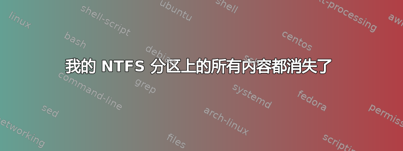 我的 NTFS 分区上的所有内容都消失了