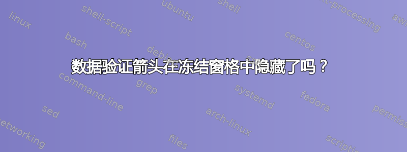 数据验证箭头在冻结窗格中隐藏了吗？