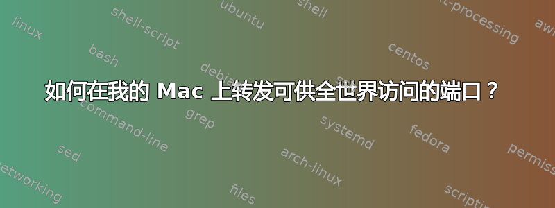 如何在我的 Mac 上转发可供全世界访问的端口？