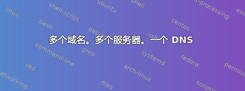 多个域名。多个服务器。一个 DNS