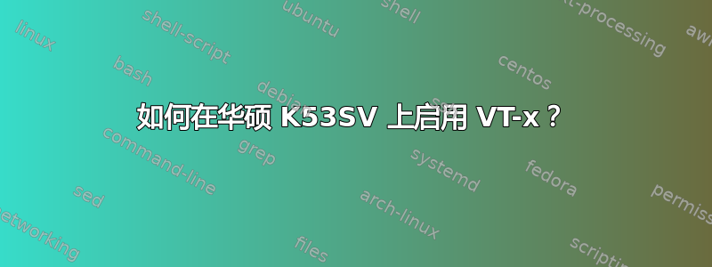 如何在华硕 K53SV 上启用 VT-x？