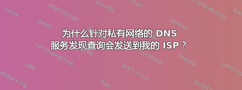 为什么针对私有网络的 DNS 服务发现查询会发送到我的 ISP？