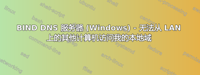 BIND DNS 服务器 (Windows) - 无法从 LAN 上的其他计算机访问我的本地域