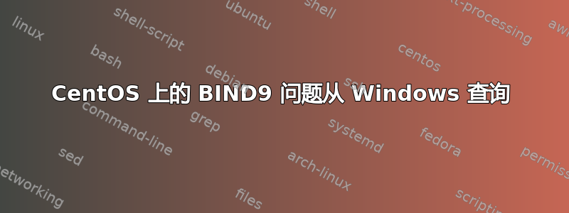 CentOS 上的 BIND9 问题从 Windows 查询