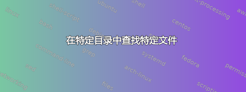 在特定目录中查找特定文件