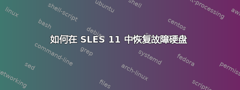 如何在 SLES 11 中恢复故障硬盘