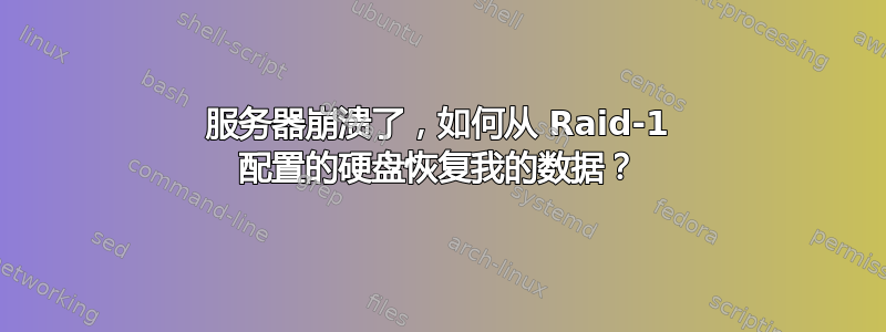 服务器崩溃了，如何从 Raid-1 配置的硬盘恢复我的数据？