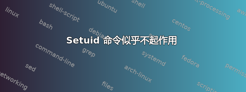 Setuid 命令似乎不起作用