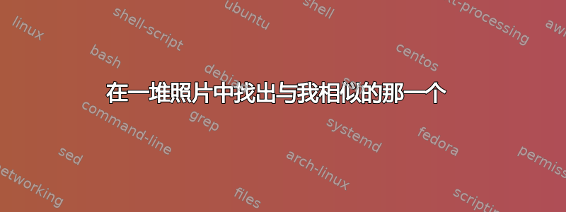 在一堆照片中找出与我相似的那一个 