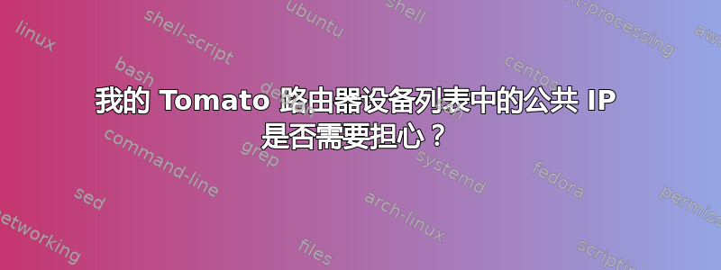 我的 Tomato 路由器设备列表中的公共 IP 是否需要担心？