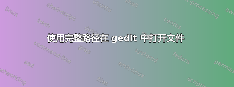 使用完整路径在 gedit 中打开文件