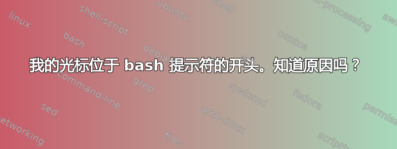 我的光标位于 bash 提示符的开头。知道原因吗？