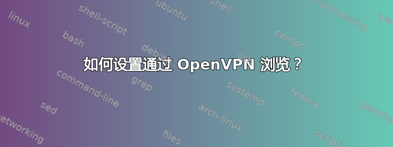 如何设置通过 OpenVPN 浏览？