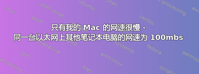 只有我的 Mac 的网速很慢 - 同一台以太网上其他笔记本电脑的网速为 100mbs