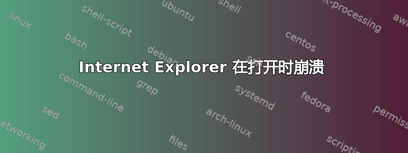 Internet Explorer 在打开时崩溃