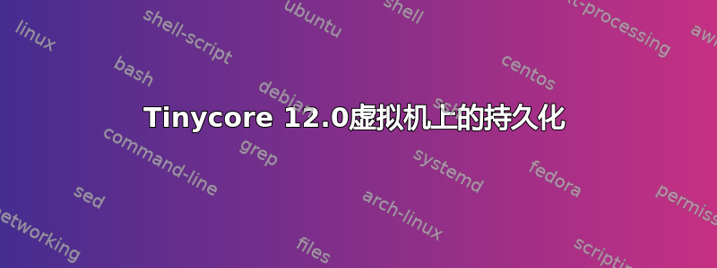 Tinycore 12.0虚拟机上的持久化