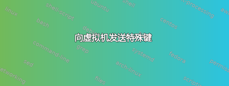 向虚拟机发送特殊键