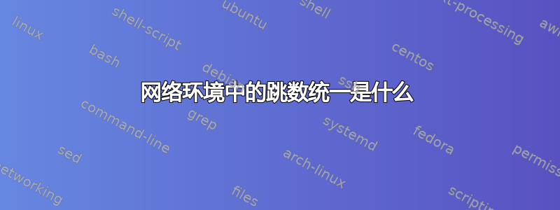 网络环境中的跳数统一是什么