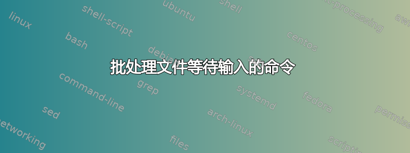 批处理文件等待输入的命令