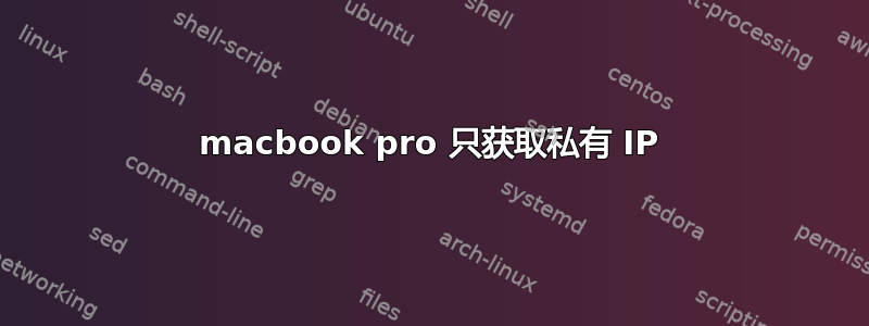 macbook pro 只获取私有 IP