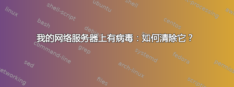 我的网络服务器上有病毒：如何清除它？