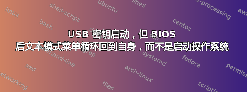 USB 密钥启动，但 BIOS 后文本模式菜单循环回到自身，而不是启动操作系统