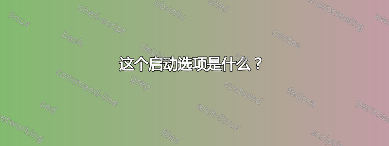 这个启动选项是什么？