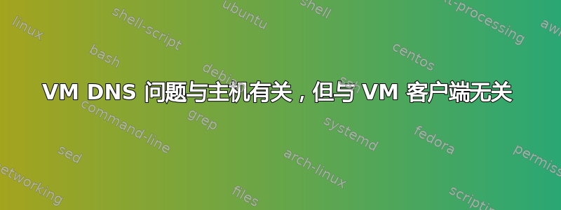 VM DNS 问题与主机有关，但与 VM 客户端无关