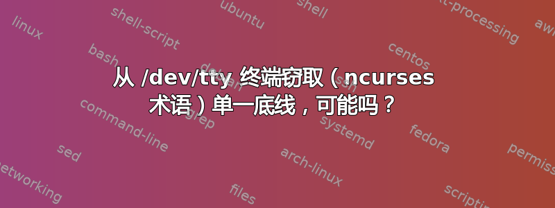 从 /dev/tty 终端窃取（ncurses 术语）单一底线，可能吗？