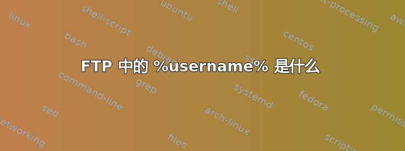 FTP 中的 %username% 是什么