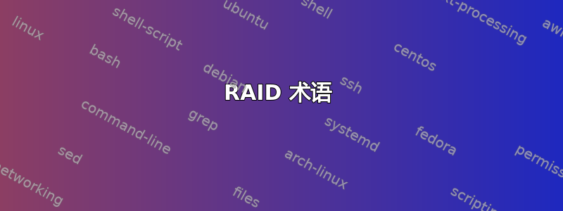 RAID 术语