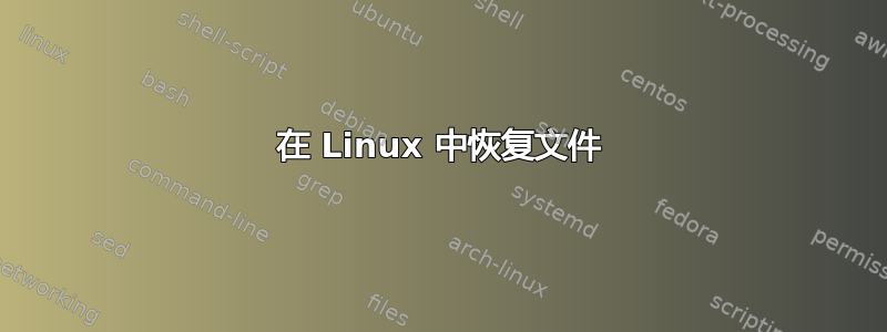 在 Linux 中恢复文件