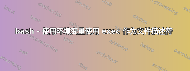 bash - 使用环境变量使用 exec 作为文件描述符