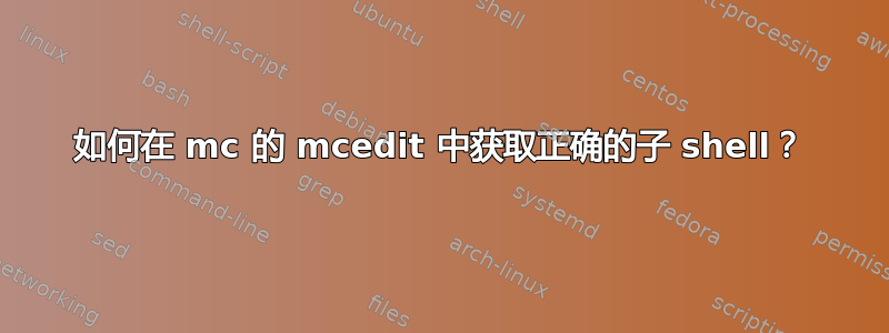 如何在 mc 的 mcedit 中获取正确的子 shell？