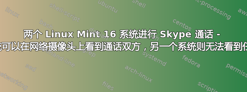 两个 Linux Mint 16 系统进行 Skype 通话 - 一个系统可以在网络摄像头上看到通话双方，另一个系统则无法看到任何一方